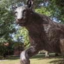 University of Pittsburgh-Bradford